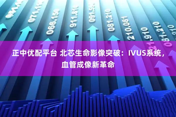 正中优配平台 北芯生命影像突破：IVUS系统，血管成像新革命