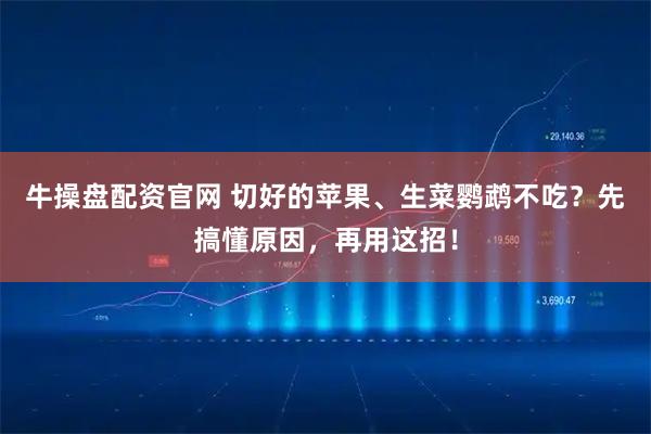 牛操盘配资官网 切好的苹果、生菜鹦鹉不吃?先搞懂原因,再用这招!