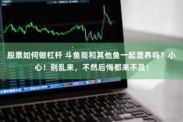 股票如何做杠杆 斗鱼能和其他鱼一起混养吗?小心!别乱来,不然后悔都来不及!